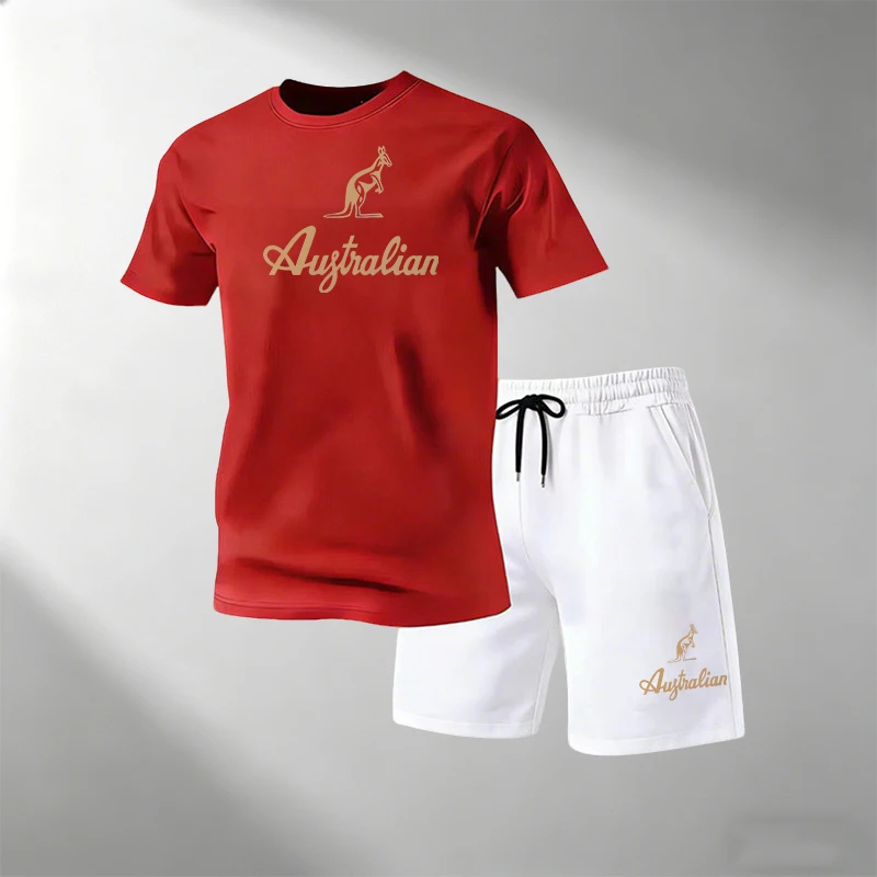 Summer Gym Clothing - Men's Fitness T-Shirts Sets Breathable Quick