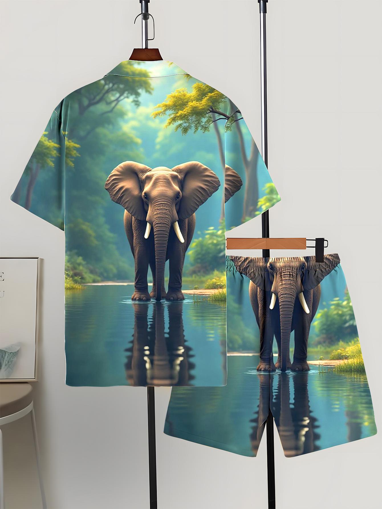 Men's Shirt Sets 2026 Spring/S - Summer Clothing Drip 评论和价格