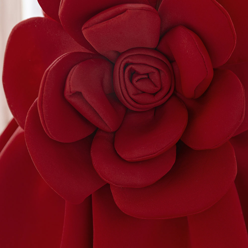 Fashion Red Flower Girl Dresse - Summer Dresses Yours Clothing 评论和价格